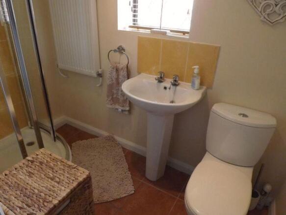 Ground Floor Shower