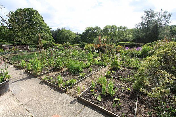 Grounds
