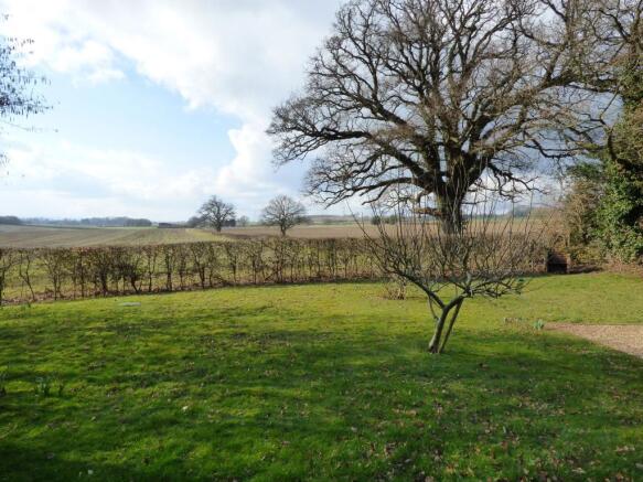 Lawn area with views