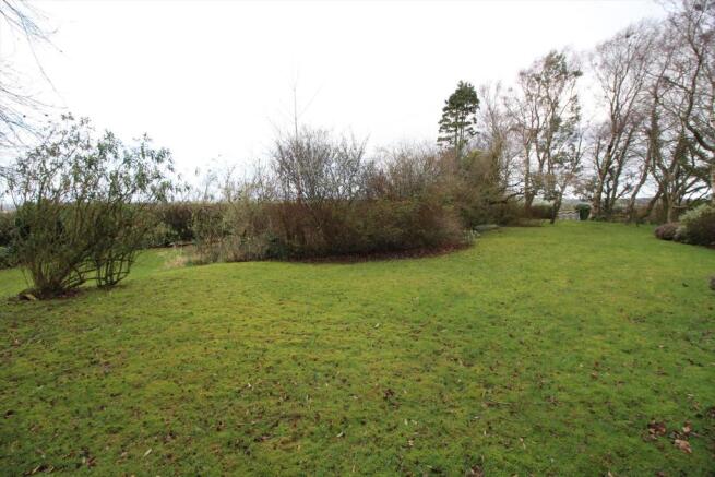 Front Lawn