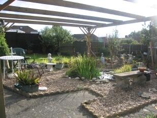 Pond Area