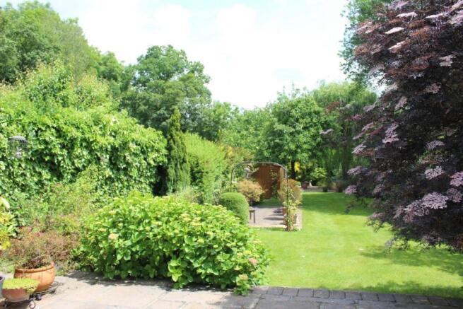 Picture 11