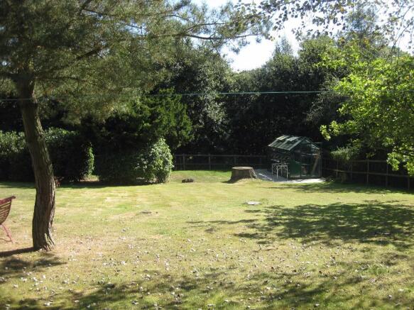 Photo 15