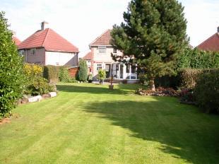 REAR GARDEN VIEW 1