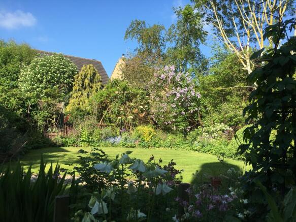 Rear View Garden 4