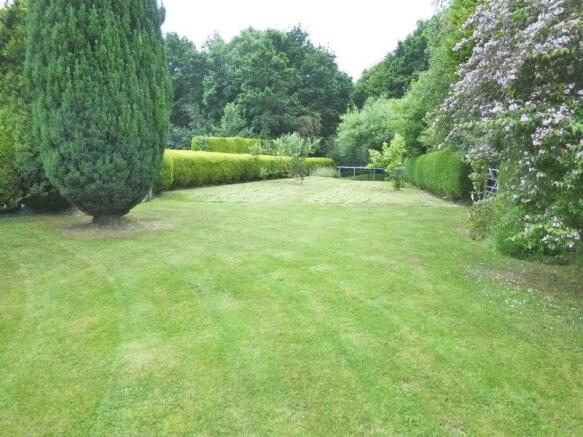 garden