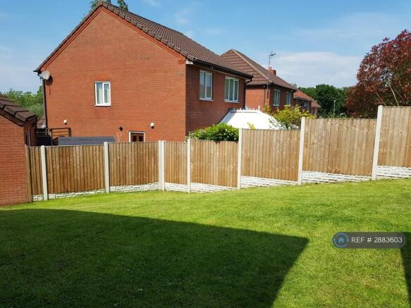 Back Garden 