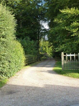 Tree Lined Driveway