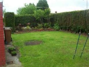 EXTRA PICTURE OF GARDEN