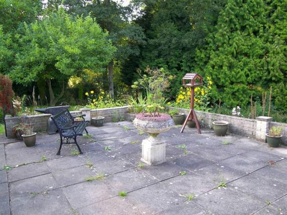 Photo 11