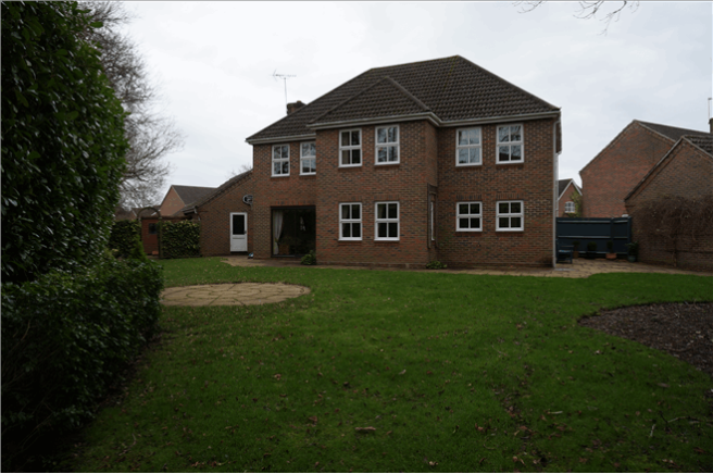 The Property