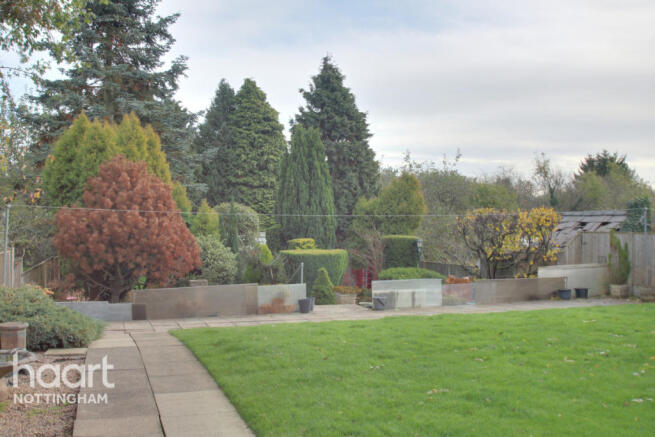 Photo 28