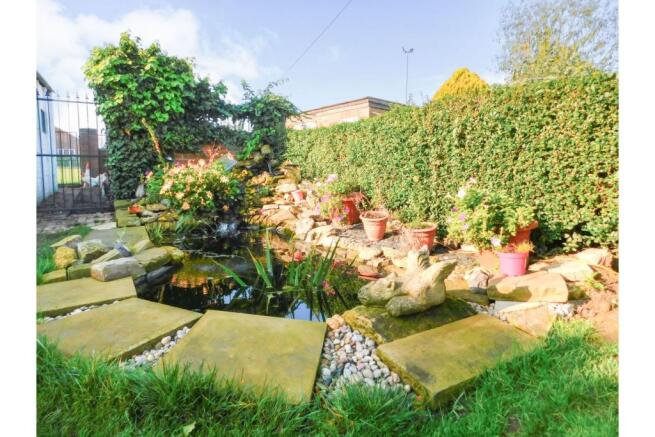 Pond