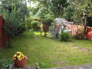 SUPER GARDEN