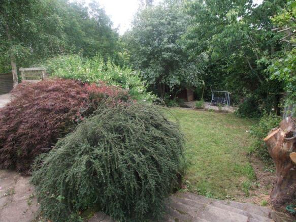 Photo 11