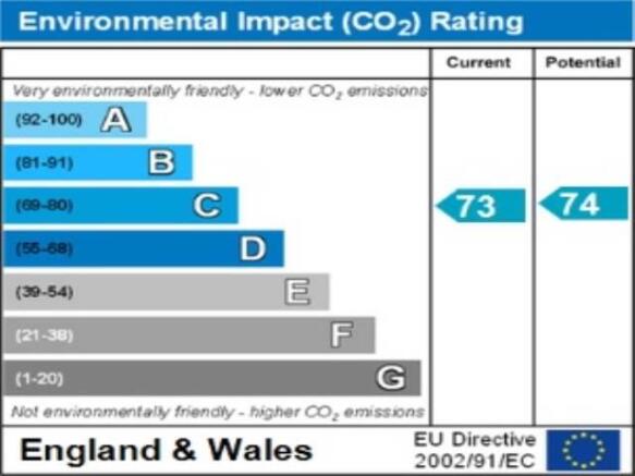 ENVIRONMENTAL IMPACT