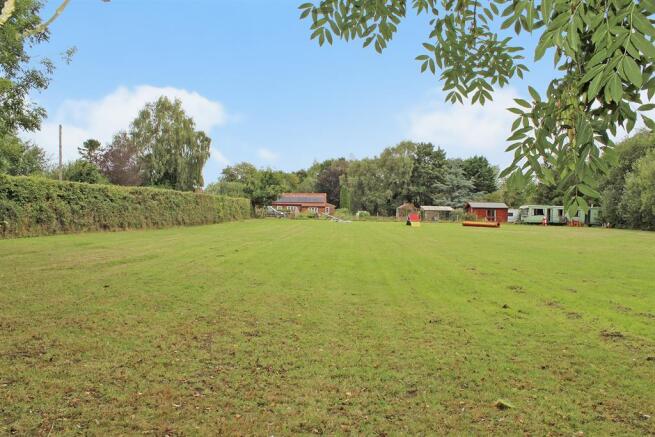 View from copse