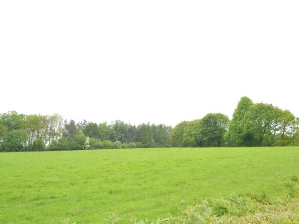 Image 15