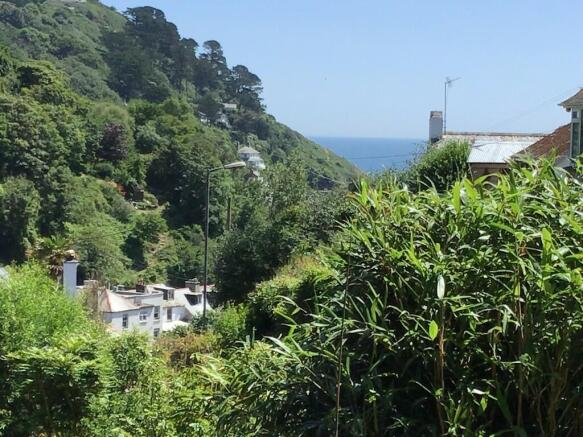 View from plot