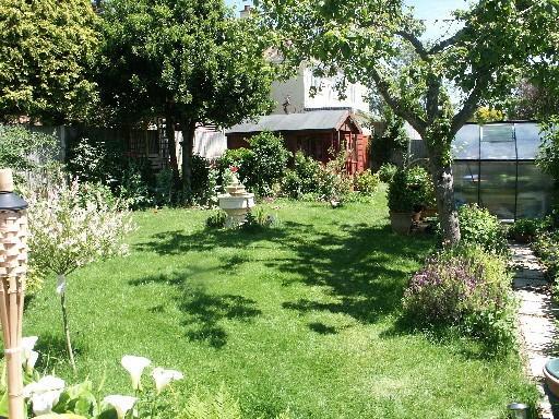 Sunny Garden