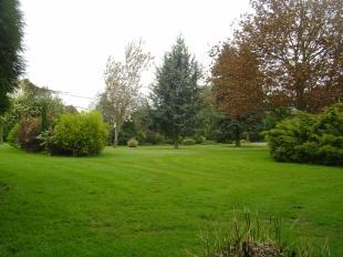 Side Garden
