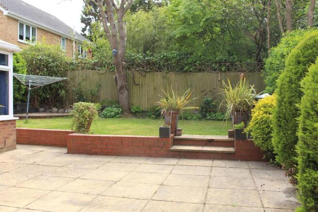 Back Garden