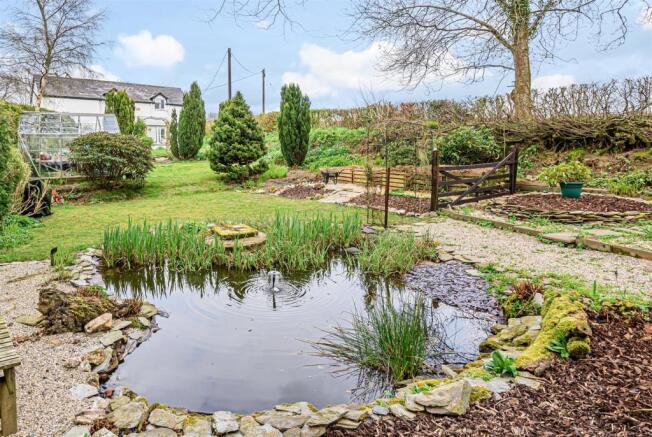 pond and garden