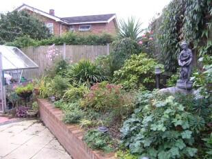 Photo 20