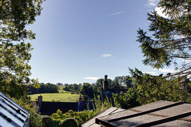 View from garden