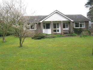 Rear Elevation