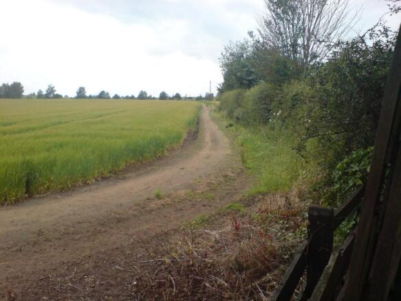 Fields To The Rea...