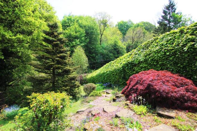 Front Garden 2.JPG