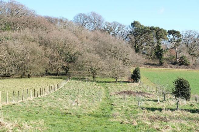 Orchard