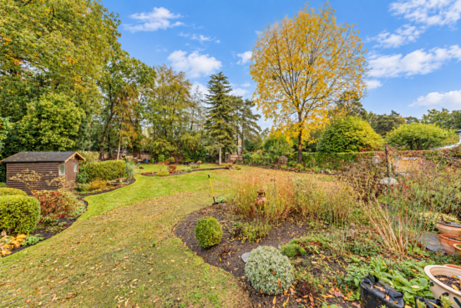 Rear garden