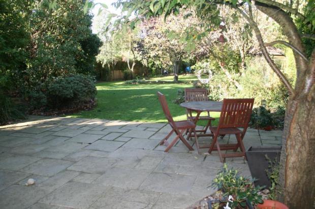 Patio Area