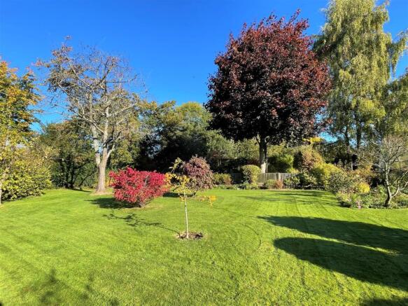garden2 (1).jpg