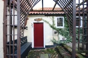 Patio/Entrance