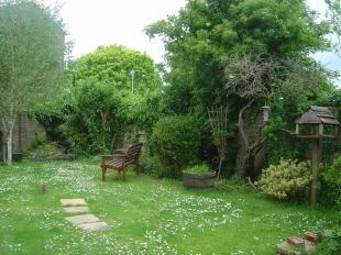 Rear Garden Shot 1