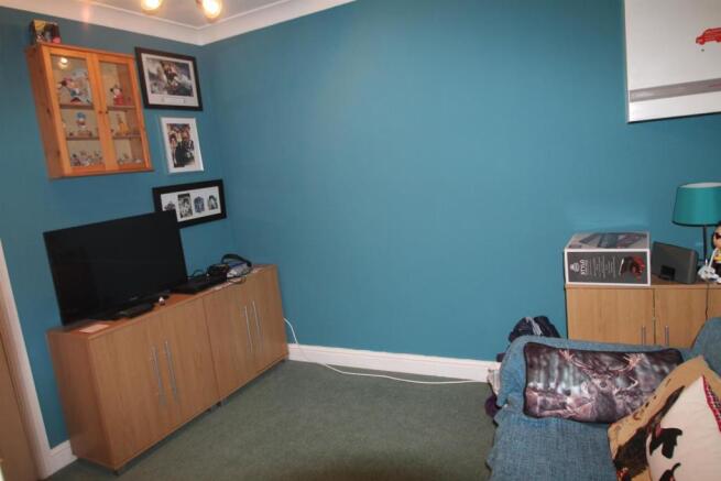 thorn close 11 (17).
