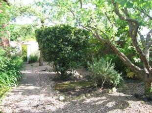 Side Garden