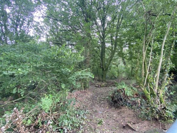 WOODLAND