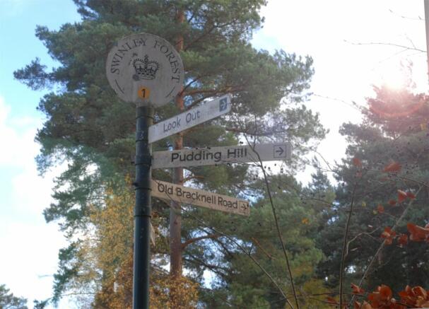 Swinley Forest