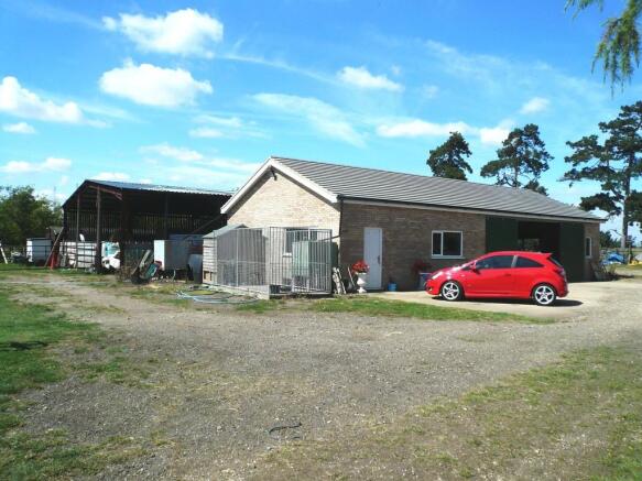 Photo 11