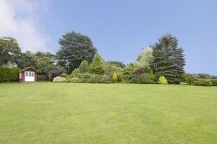 Garden Photo 4