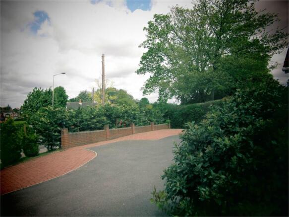 Photograph 11