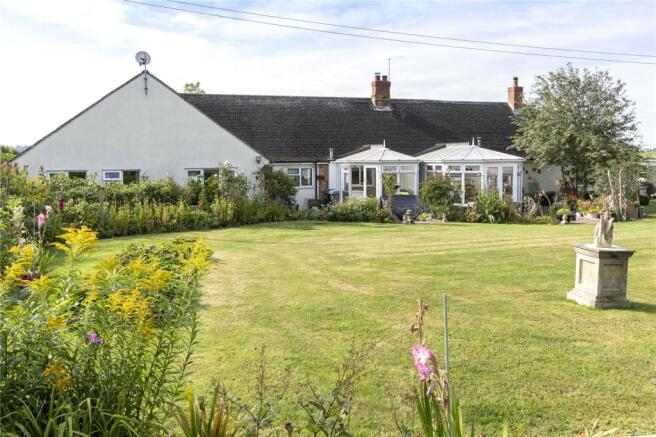Back Garden