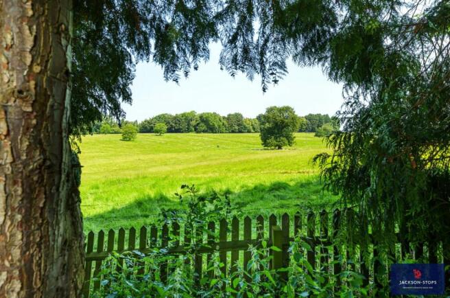 Views To Parkland
