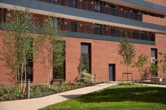 Communal garden 2