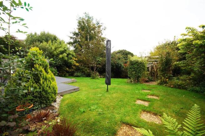 garden copy.jpg