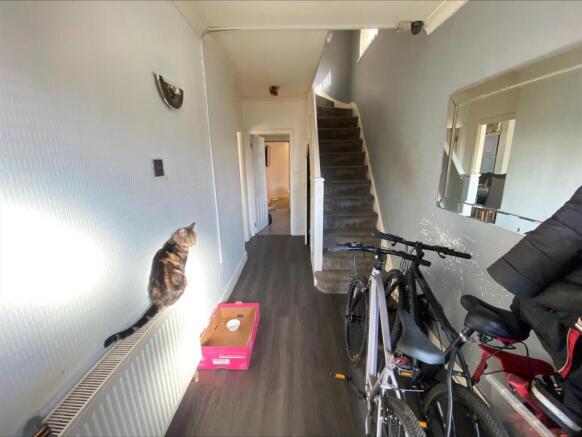 processed-0EFAA5FB-61B9-465C-908B-0E066DC4C587.jpe